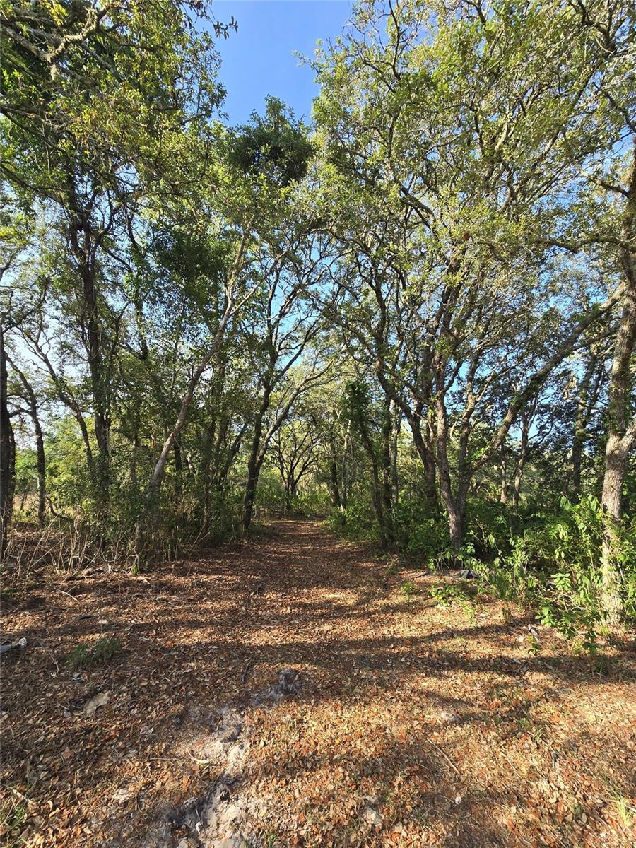 14515 GIDDYUP LN, HUDSON, FL, 34669