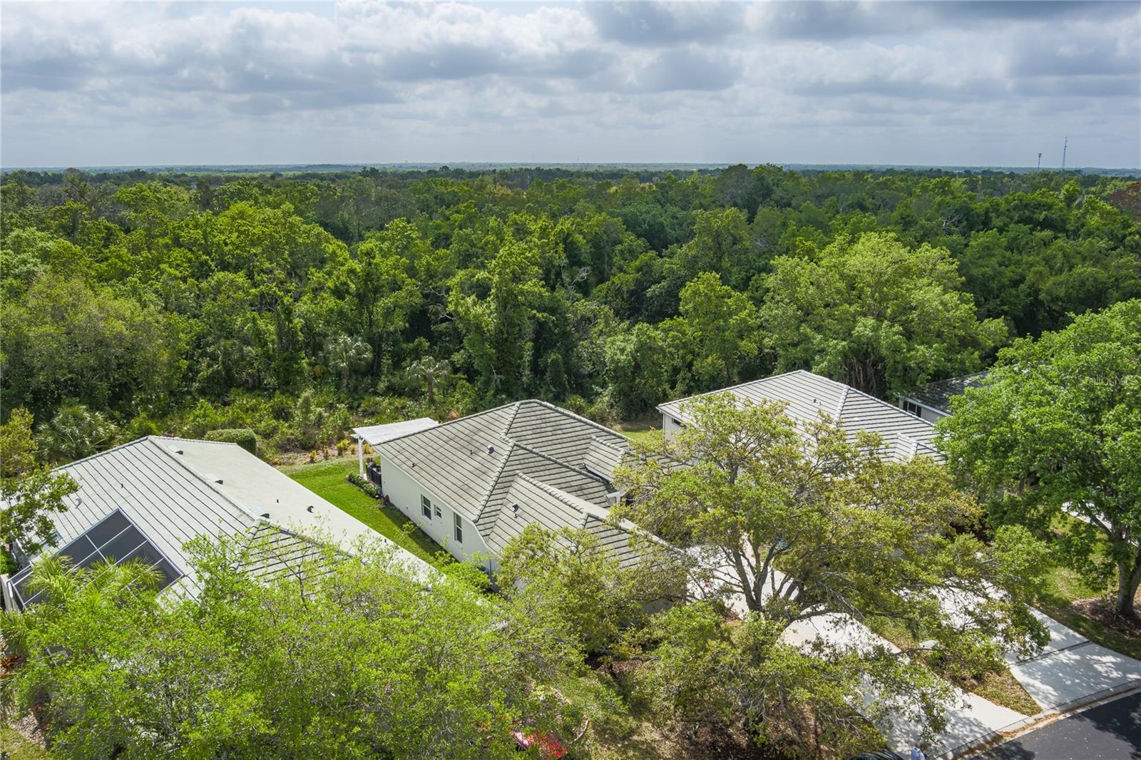 3208 WOODLAND FERN DR, PARRISH, FL, 34219