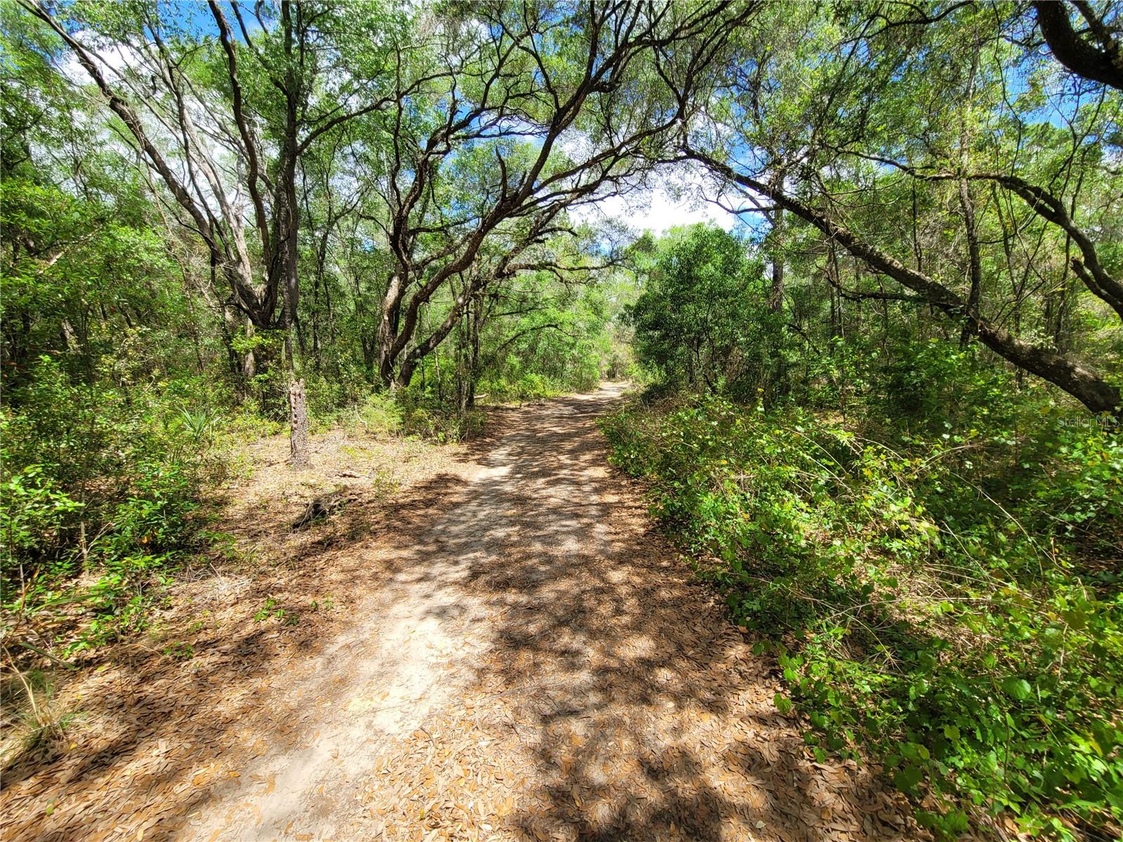 912 FERNCREEK AVE, INVERNESS, FL, 34453