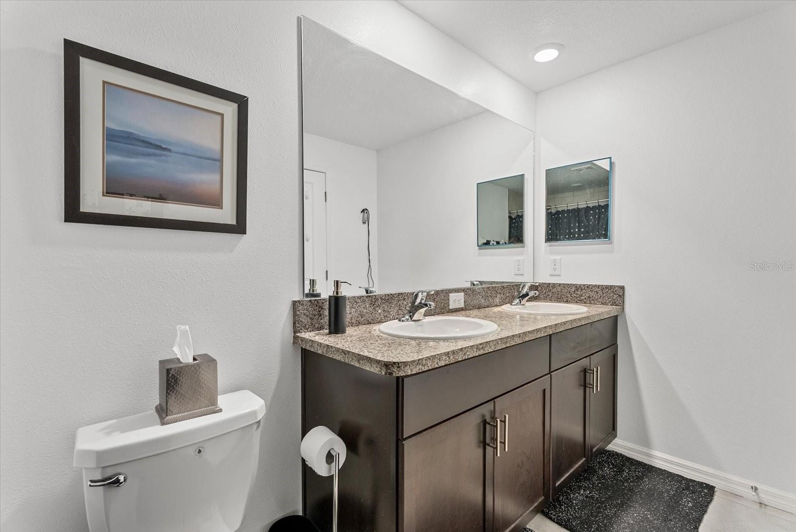10426 SHADY PRESERVE DR, RIVERVIEW, FL, 33578