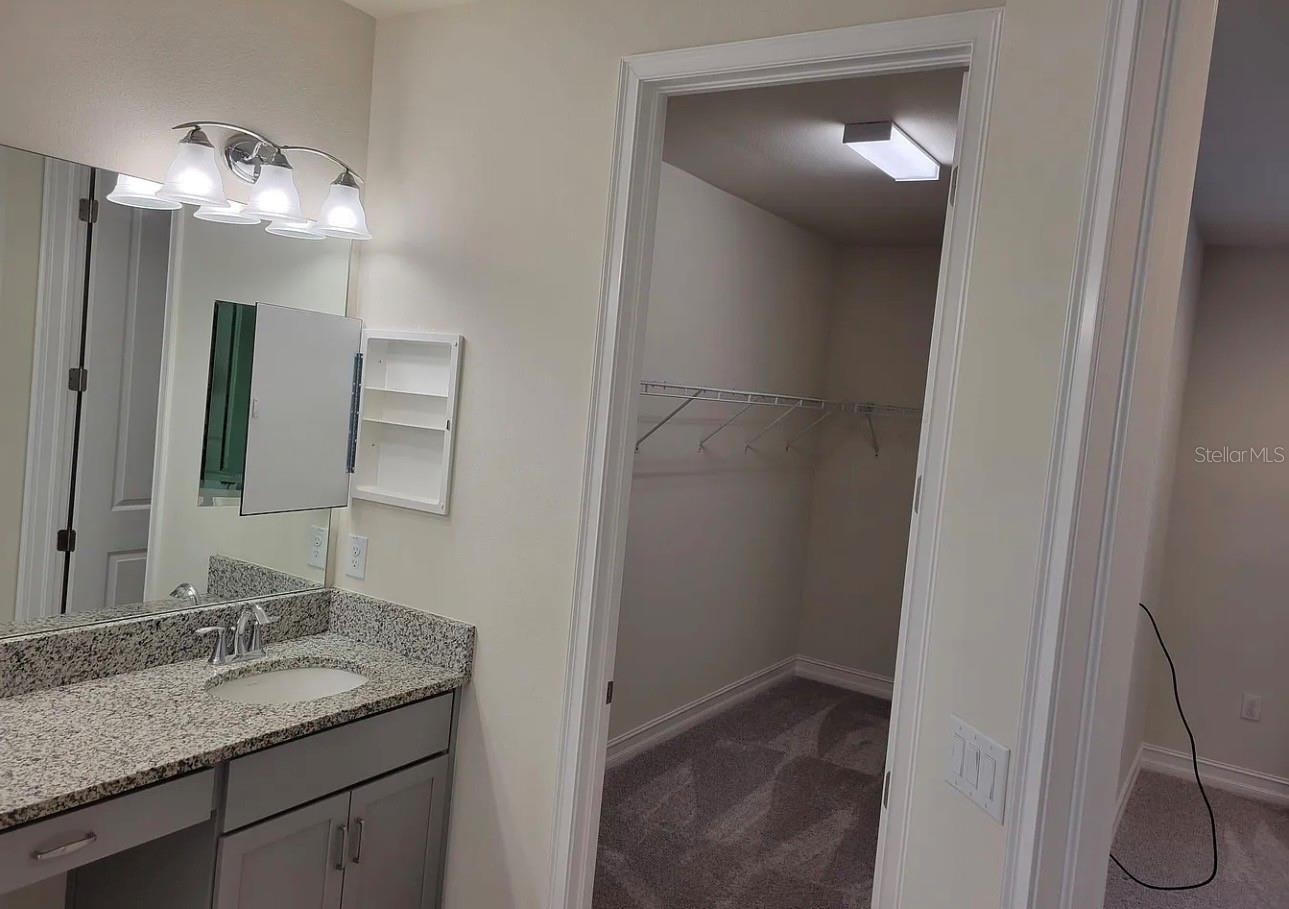 3231 PAINTED BLOSSOM CT, LUTZ, FL, 33558