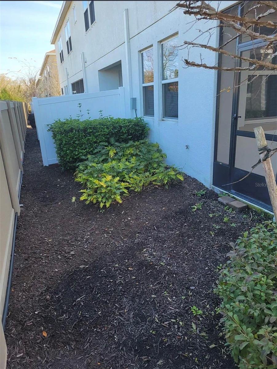 3231 PAINTED BLOSSOM CT, LUTZ, FL, 33558