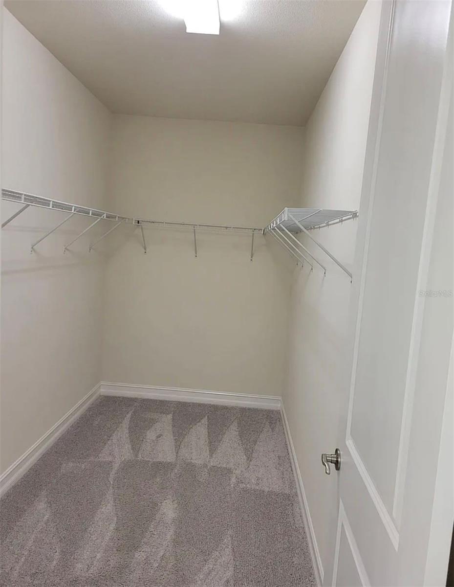 3231 PAINTED BLOSSOM CT, LUTZ, FL, 33558
