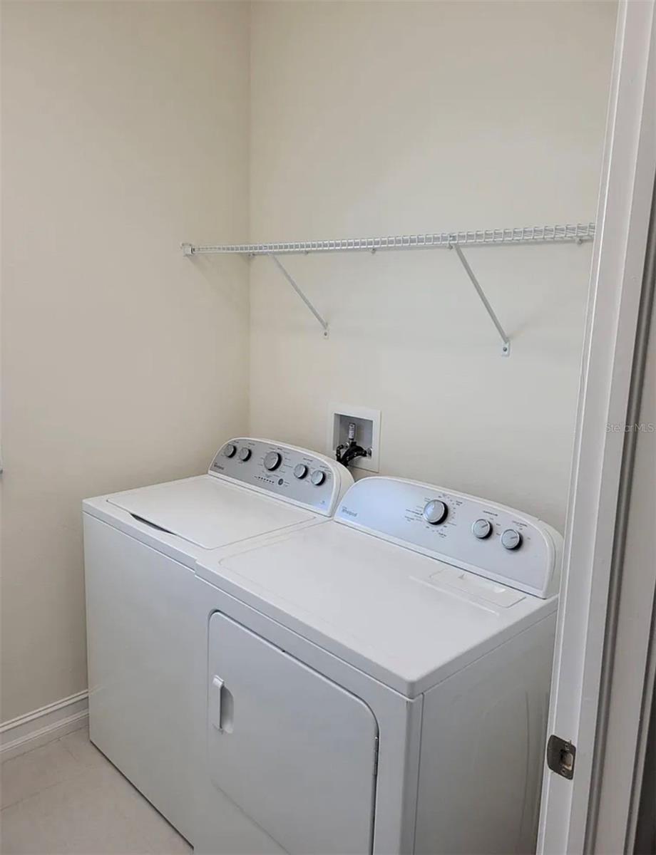 3231 PAINTED BLOSSOM CT, LUTZ, FL, 33558