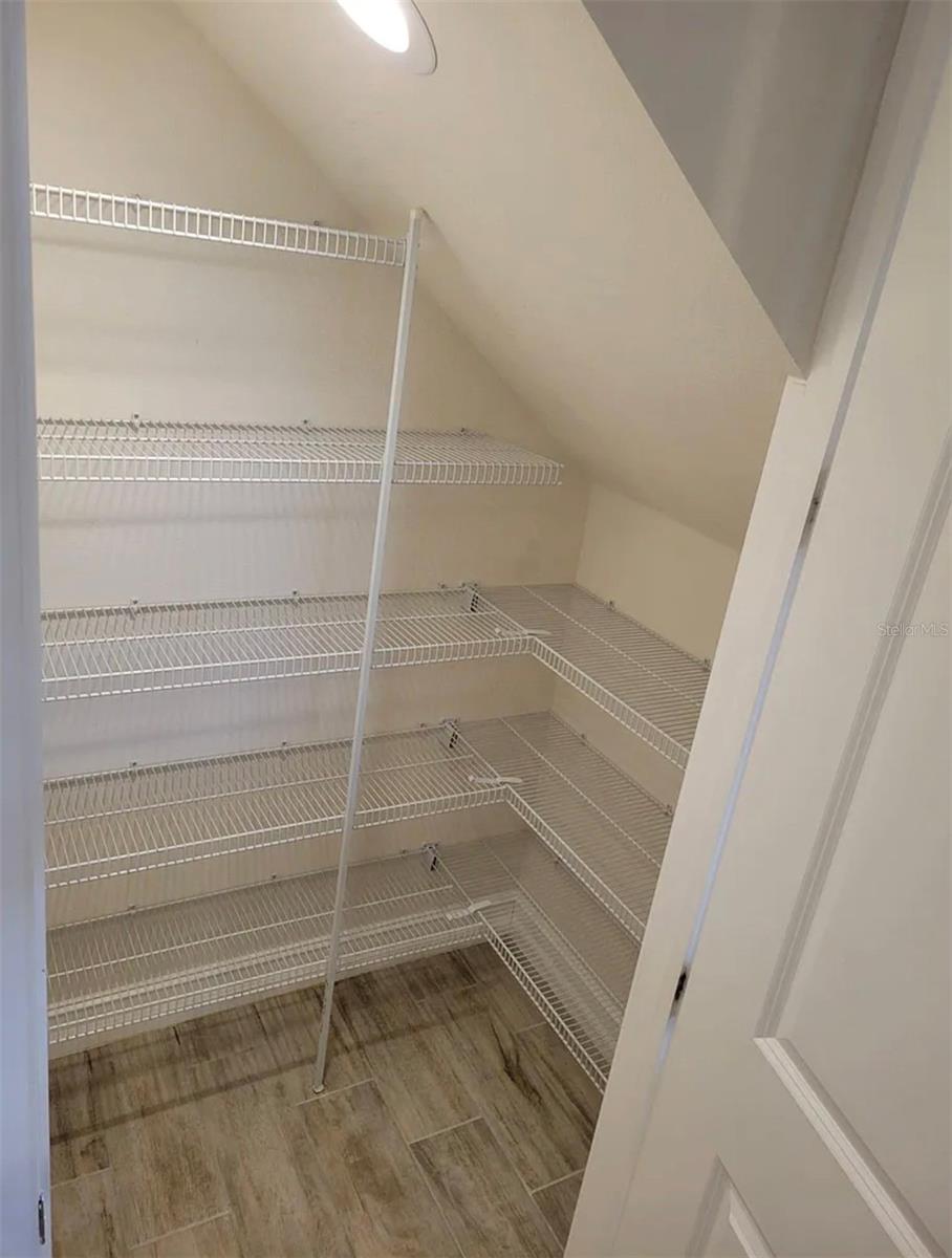 3231 PAINTED BLOSSOM CT, LUTZ, FL, 33558