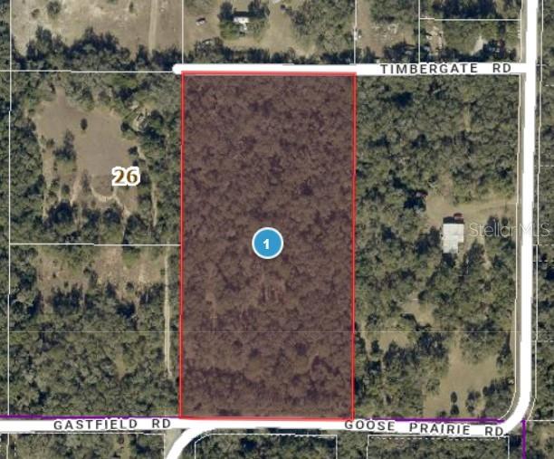 10755 GOOSE PRAIRIE RD, LEESBURG, FL, 34788