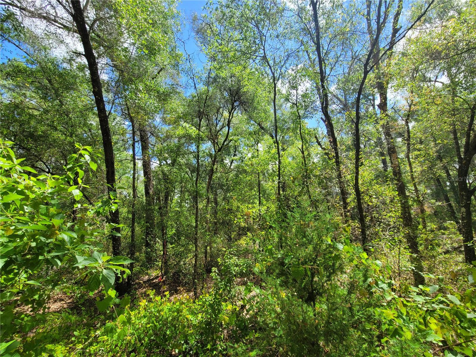 910 FERNCREEK AVE, INVERNESS, FL, 34453