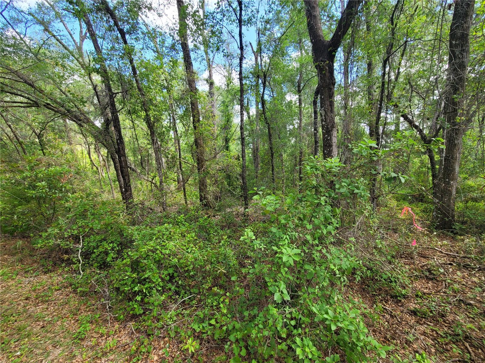 910 FERNCREEK AVE, INVERNESS, FL, 34453