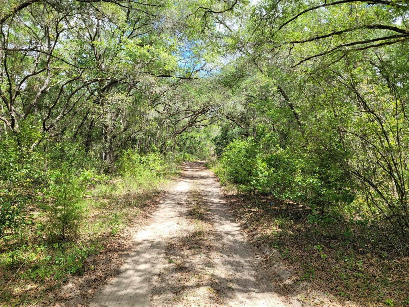 910 FERNCREEK AVE, INVERNESS, FL, 34453