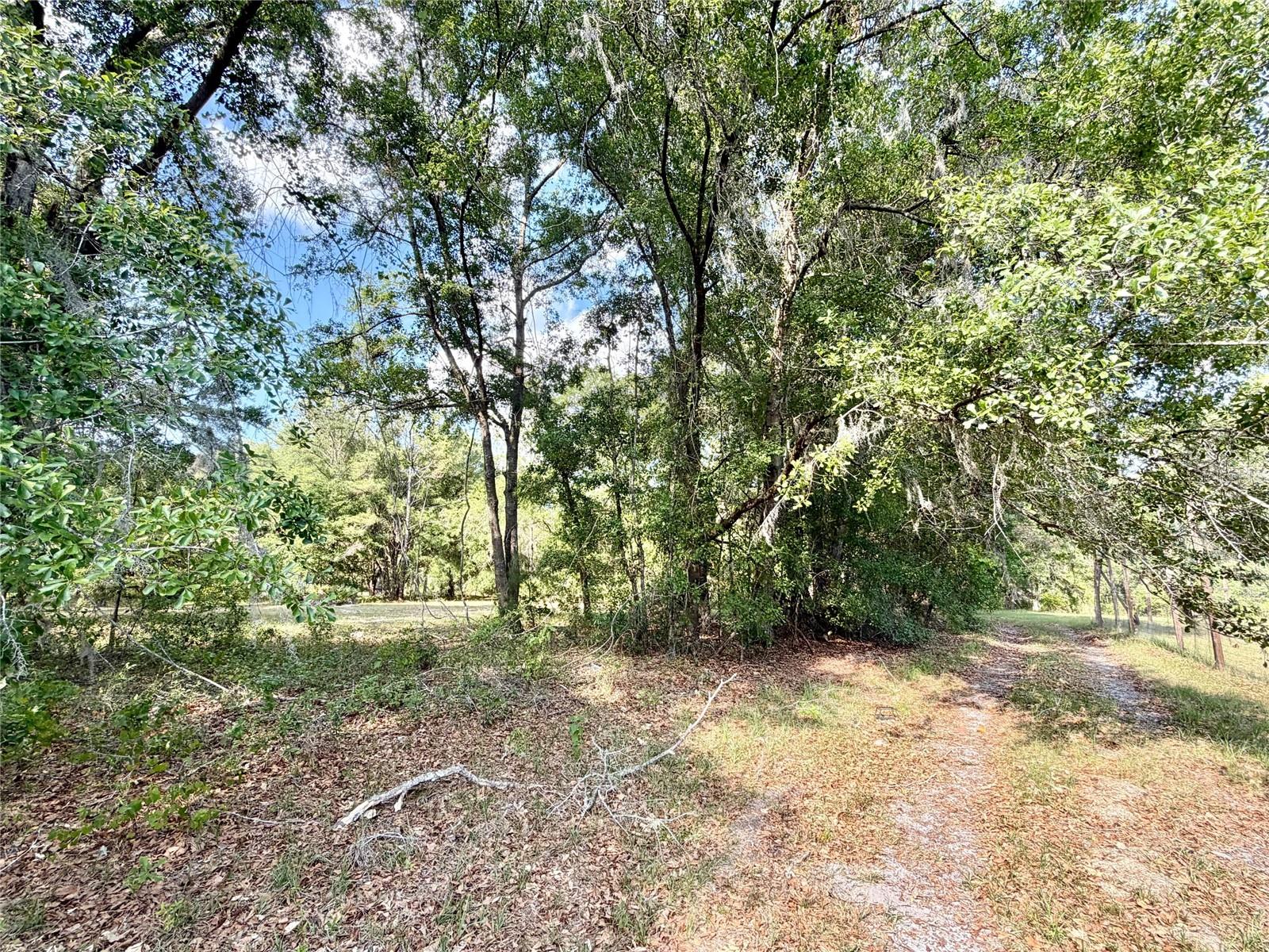 7622 NE 96TH AVE, GAINESVILLE, FL, 32609