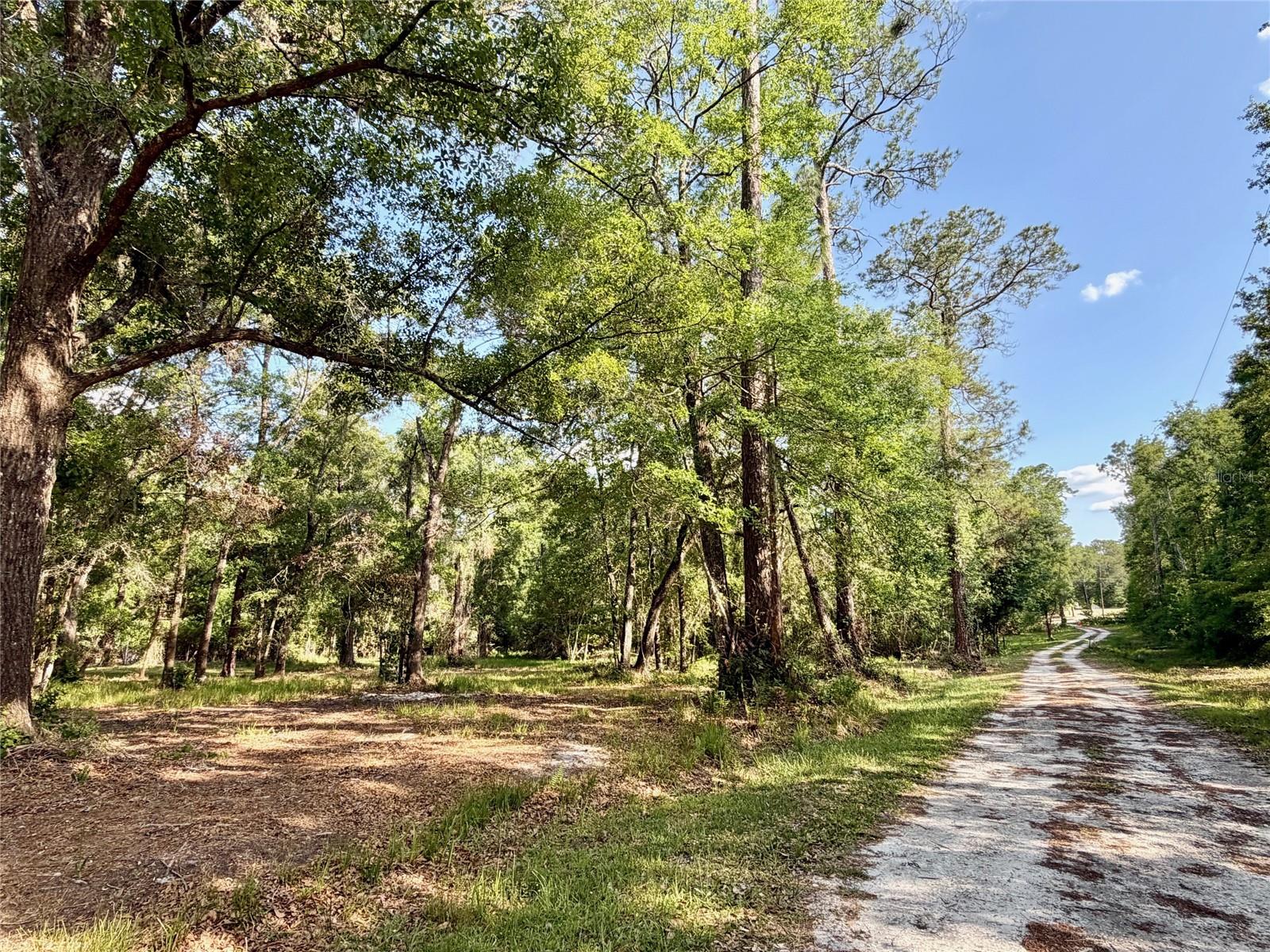 7622 NE 96TH AVE, GAINESVILLE, FL, 32609