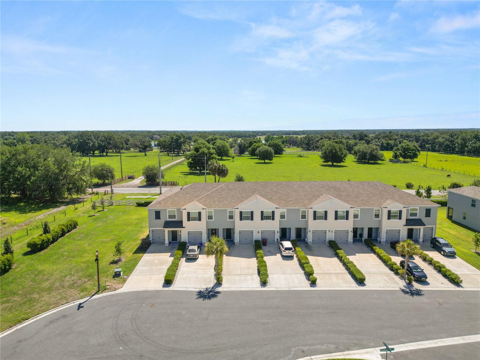 3830 SUNFLOWER FIELD PL, PLANT CITY, FL, 33565