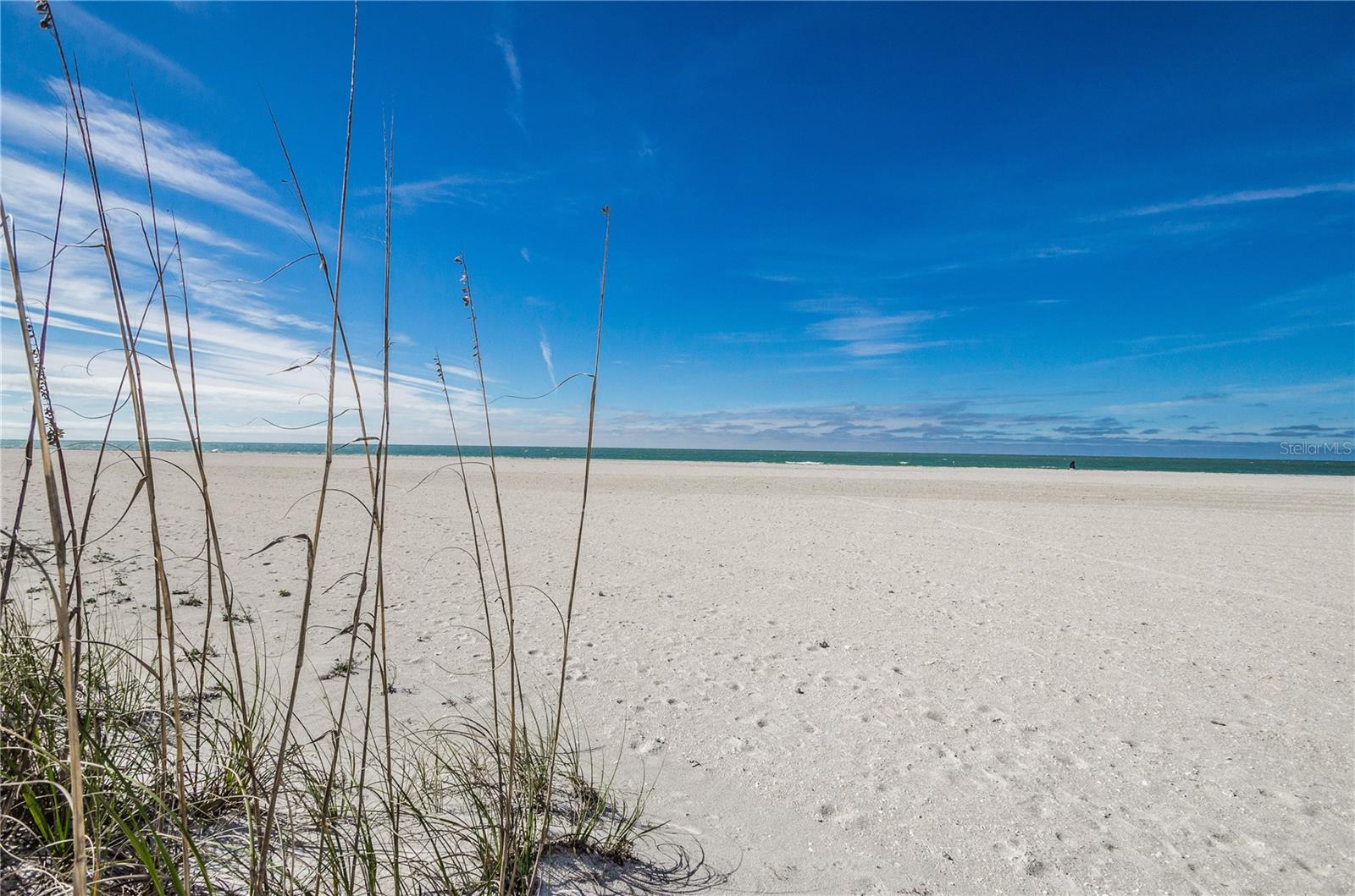 1390 GULF BLVD #PH-3, CLEARWATER BEACH, FL, 33767