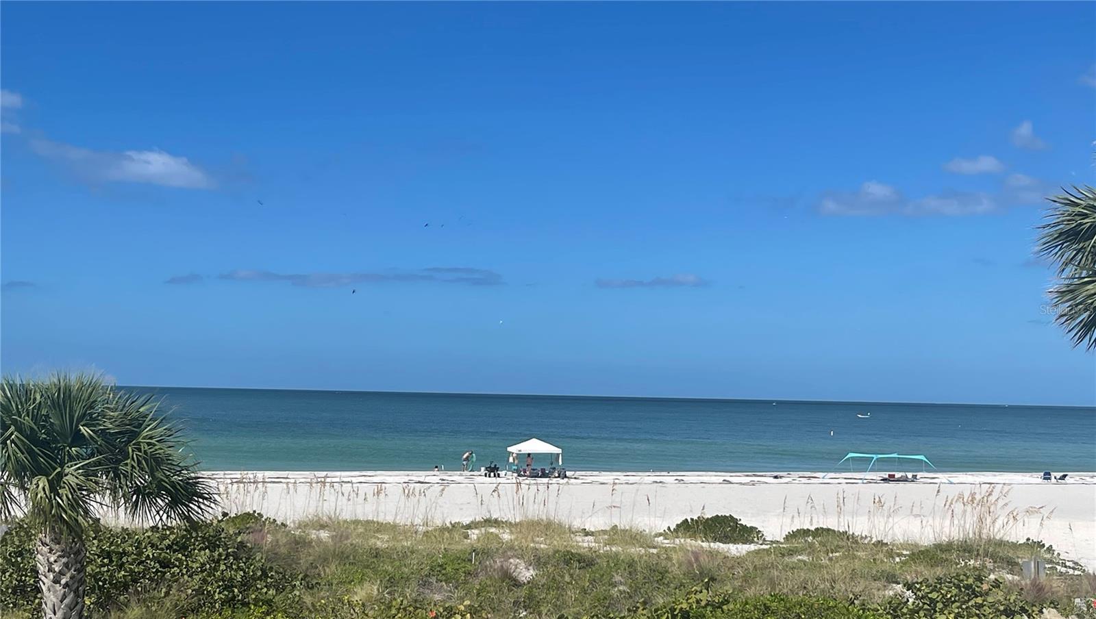 1390 GULF BLVD #PH-3, CLEARWATER BEACH, FL, 33767