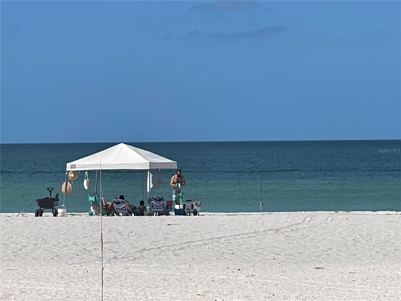 1390 GULF BLVD #PH-3, CLEARWATER BEACH, FL, 33767
