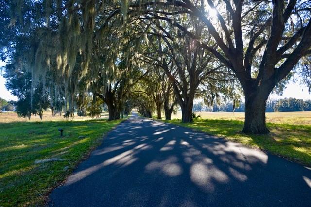 11920 SE 8TH AVE, OCALA, FL, 34480