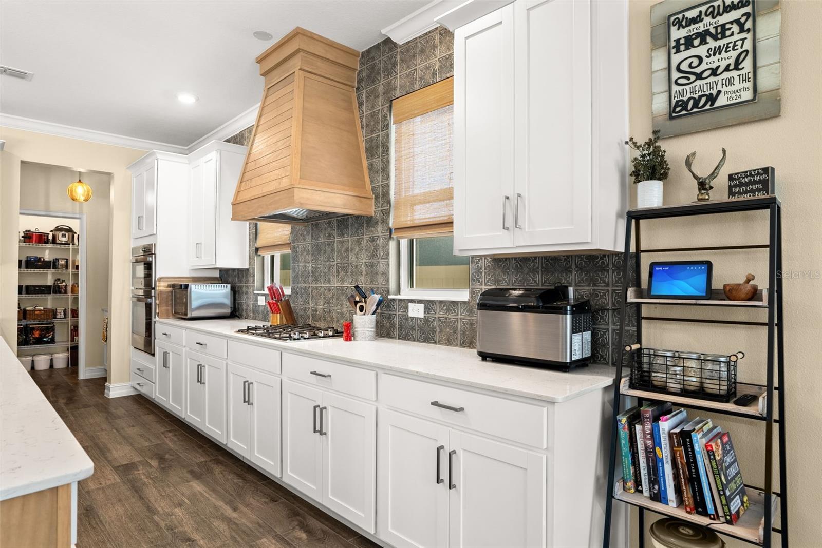 22294 STORYBOOK CABIN WAY, LAND O LAKES, FL, 34637