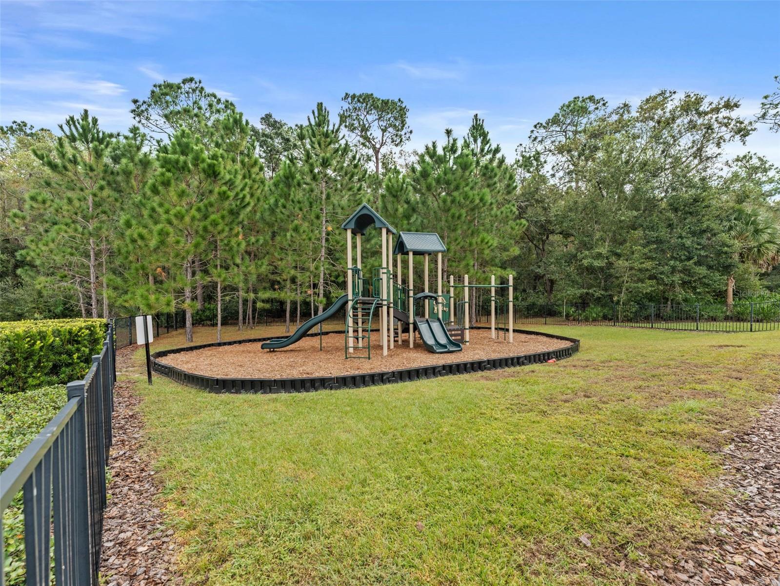 26399 LIMESTONE SPRINGS WAY, WESLEY CHAPEL, FL, 33544