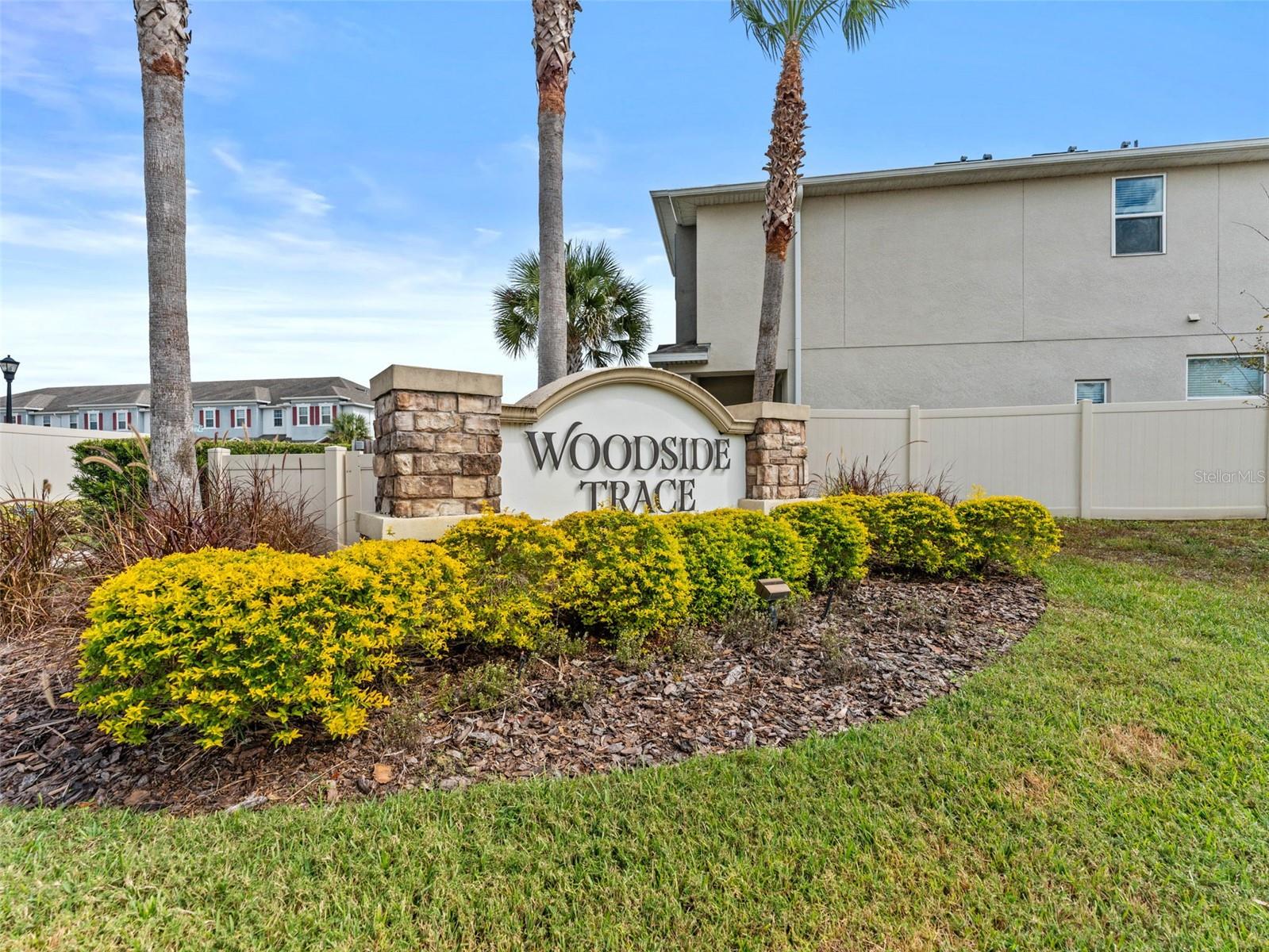 26399 LIMESTONE SPRINGS WAY, WESLEY CHAPEL, FL, 33544