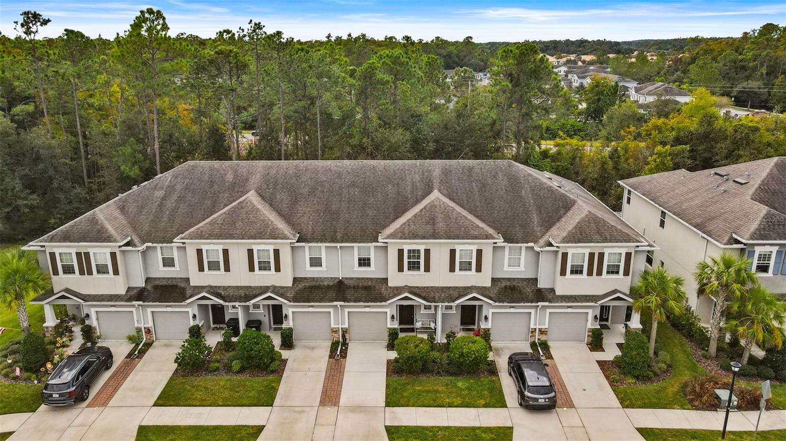 26399 LIMESTONE SPRINGS WAY, WESLEY CHAPEL, FL, 33544