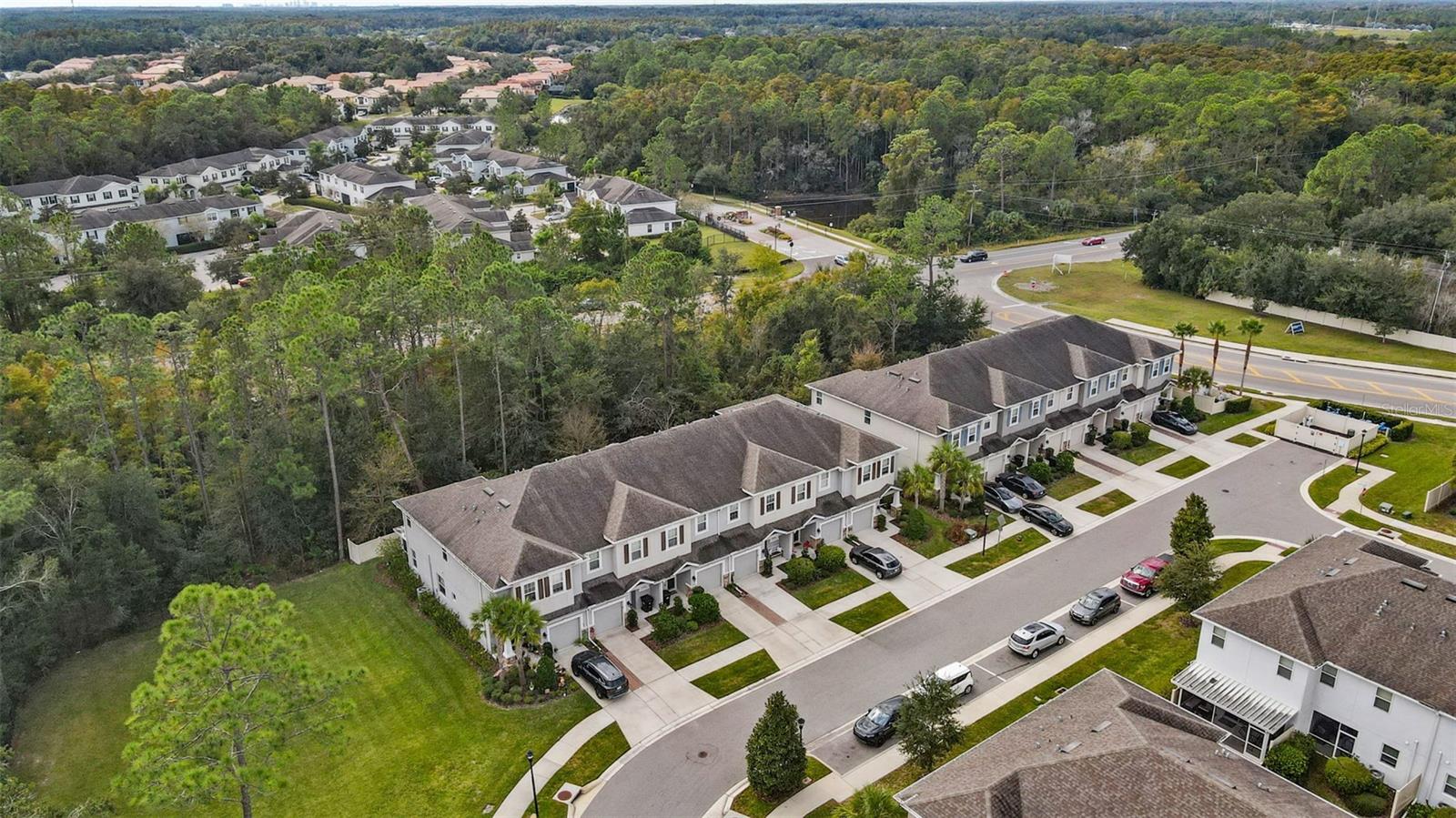 26399 LIMESTONE SPRINGS WAY, WESLEY CHAPEL, FL, 33544