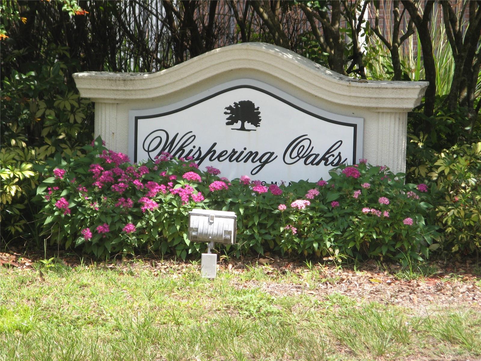 13725 JUNIPER BLOSSOM DR #202, TAMPA, FL, 33618