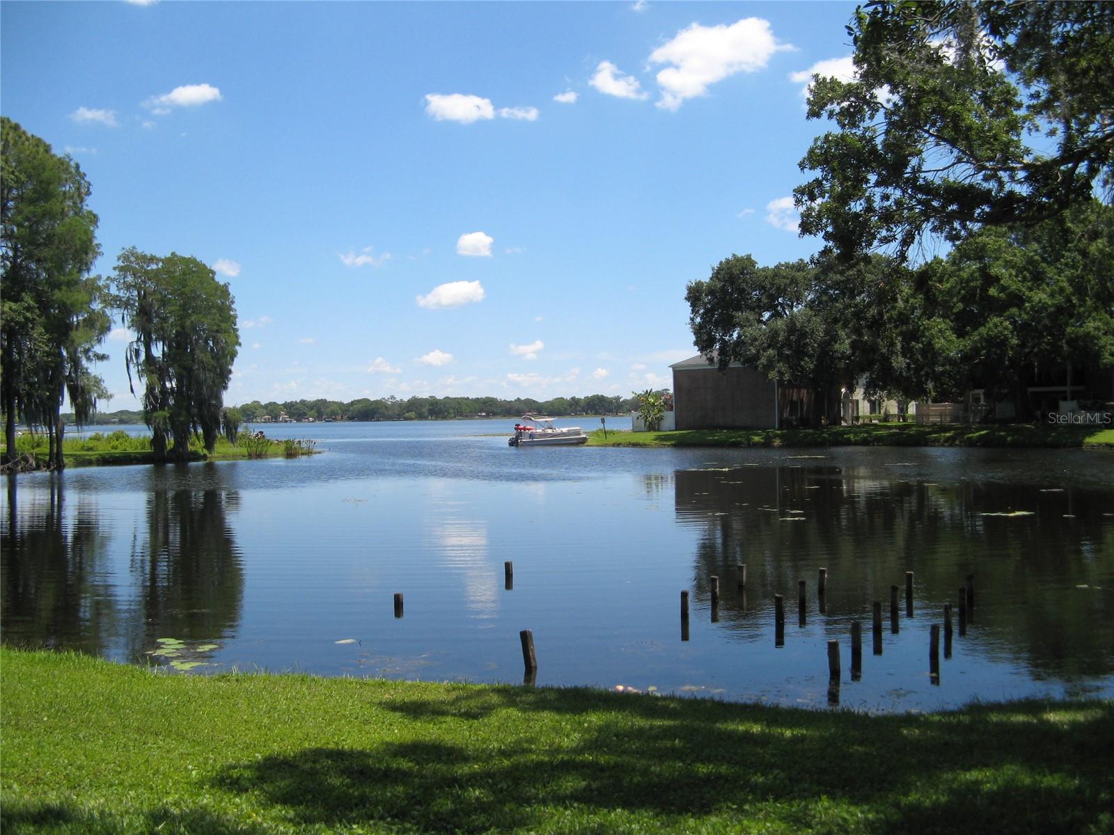 13725 JUNIPER BLOSSOM DR #202, TAMPA, FL, 33618