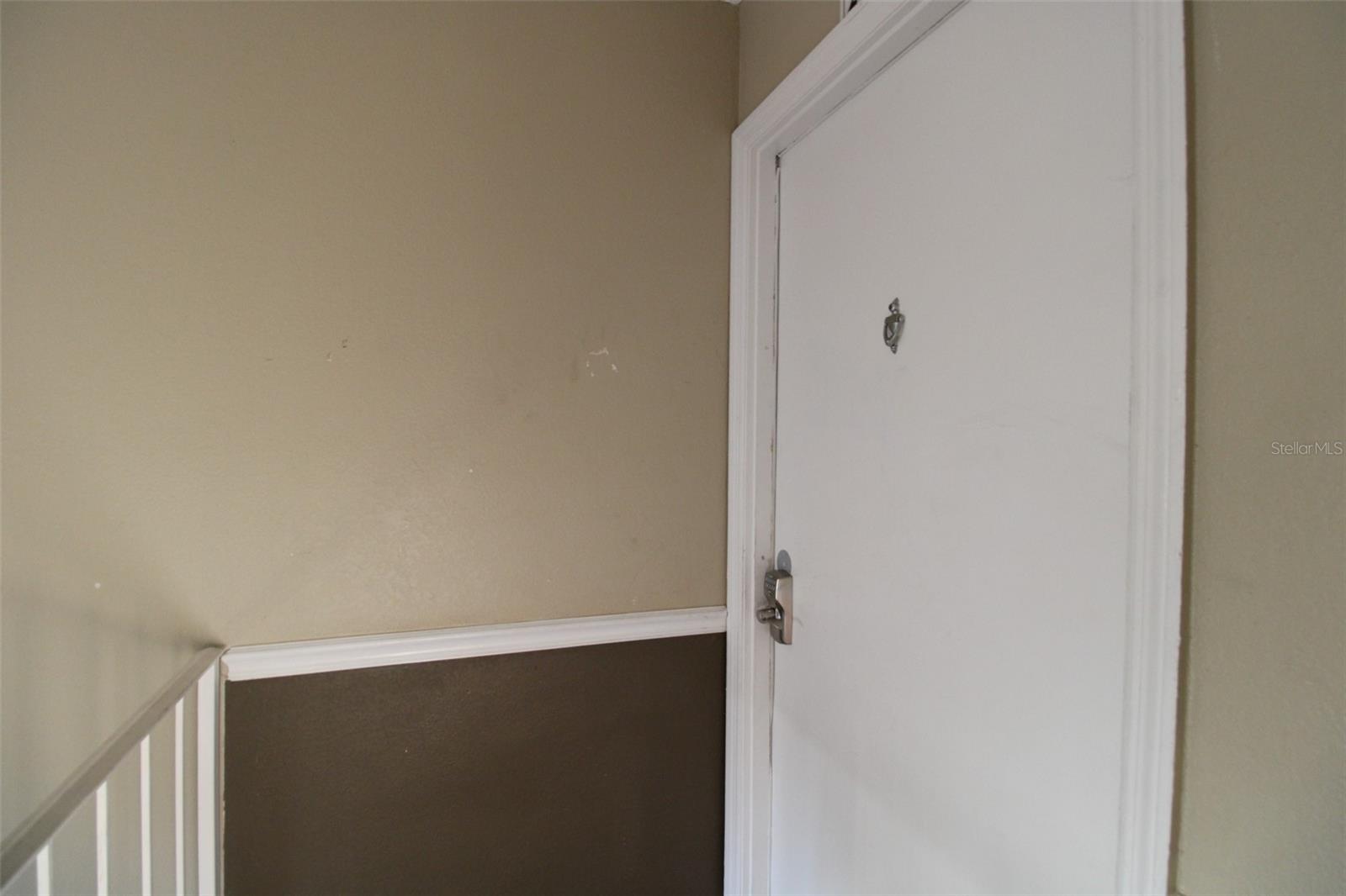 13725 JUNIPER BLOSSOM DR #202, TAMPA, FL, 33618