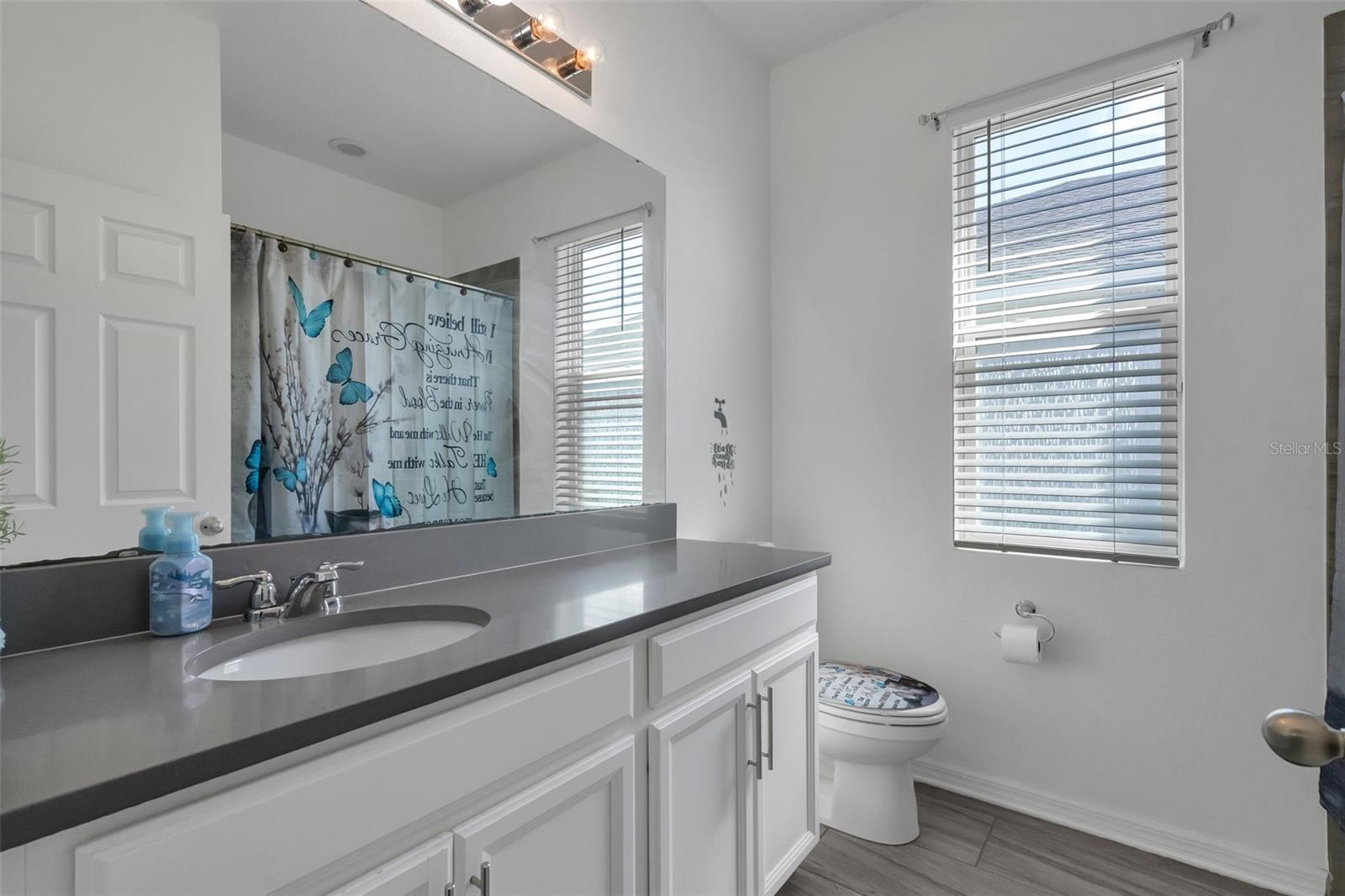 3538 VEGA CREEK DR, ST CLOUD, FL, 34772