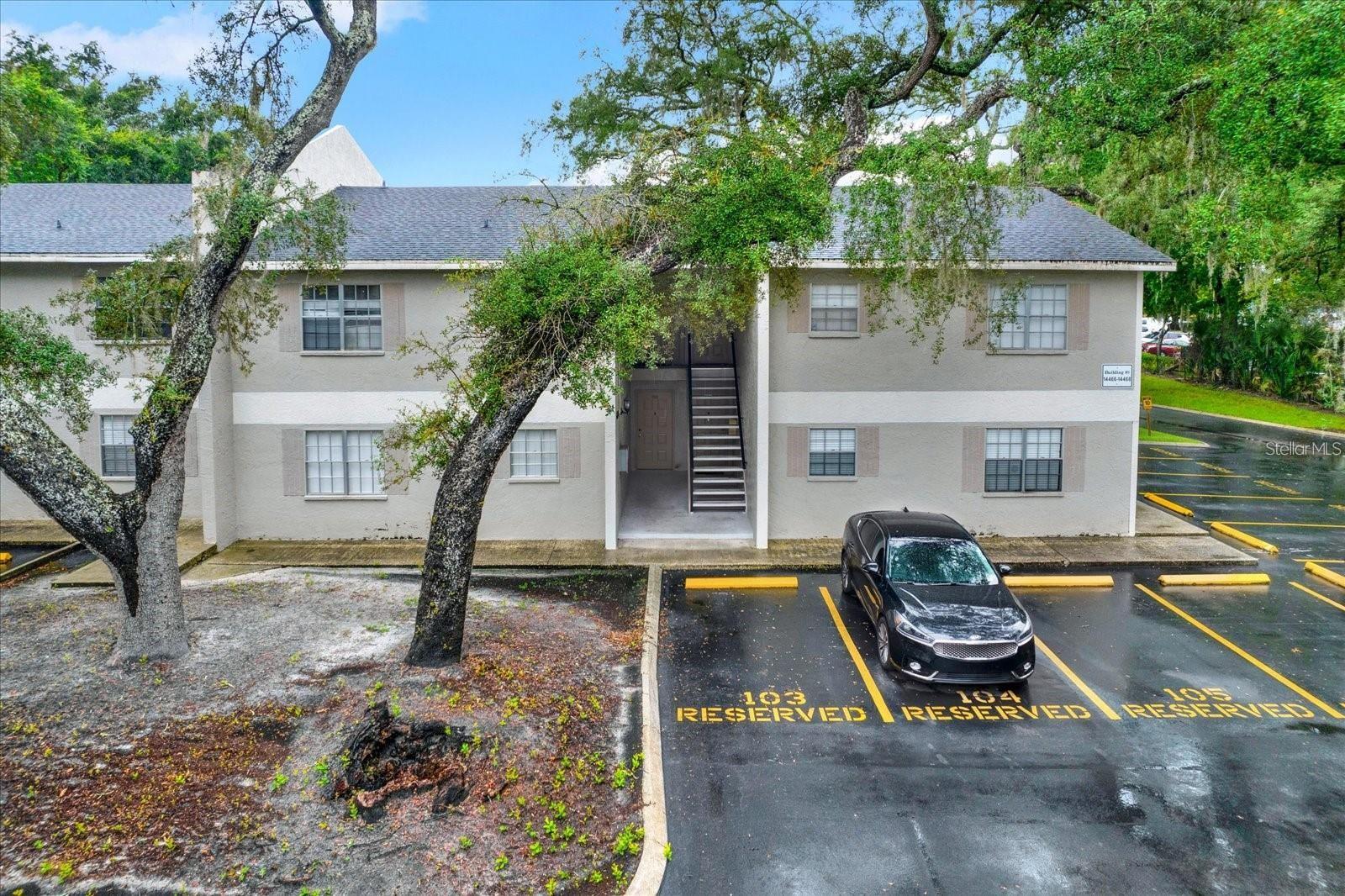 14468 REUTER STRASSE CIR #503, TAMPA, FL, 33613