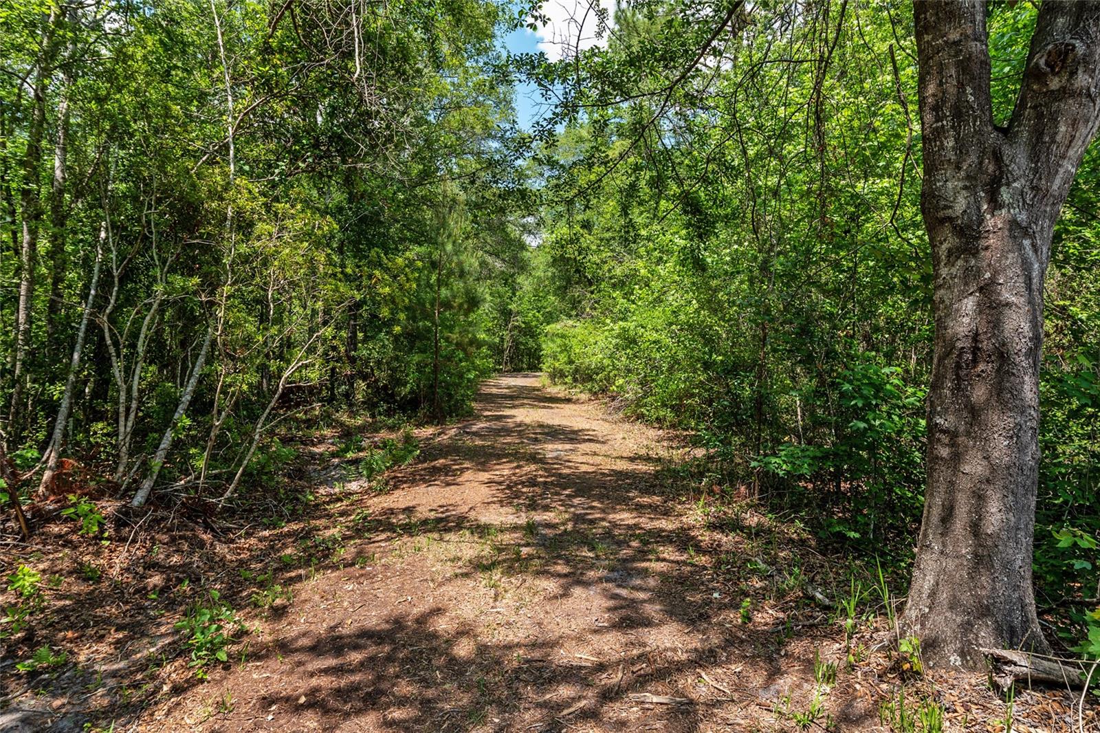 4814 NW 244 AVE, ALACHUA, FL, 32615