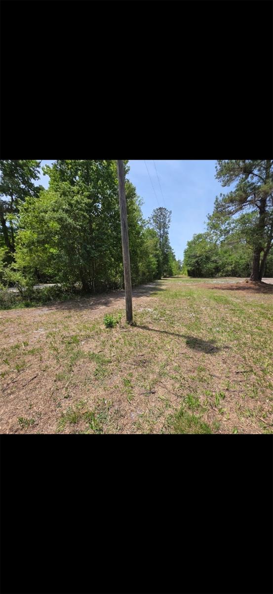 4814 NW 244 AVE, ALACHUA, FL, 32615