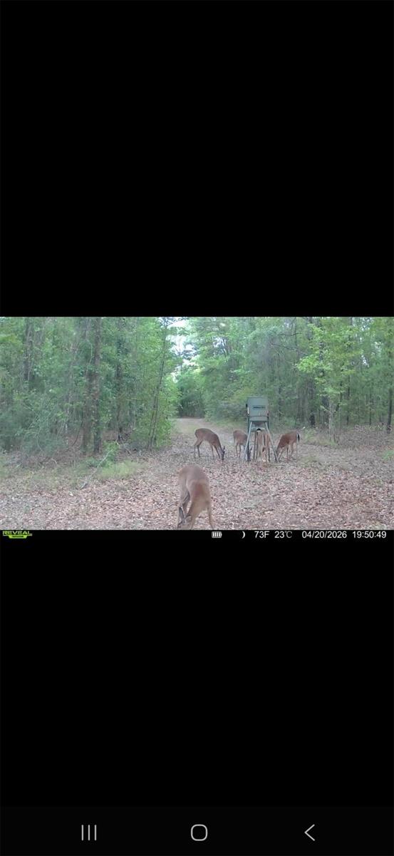 4814 NW 244 AVE, ALACHUA, FL, 32615