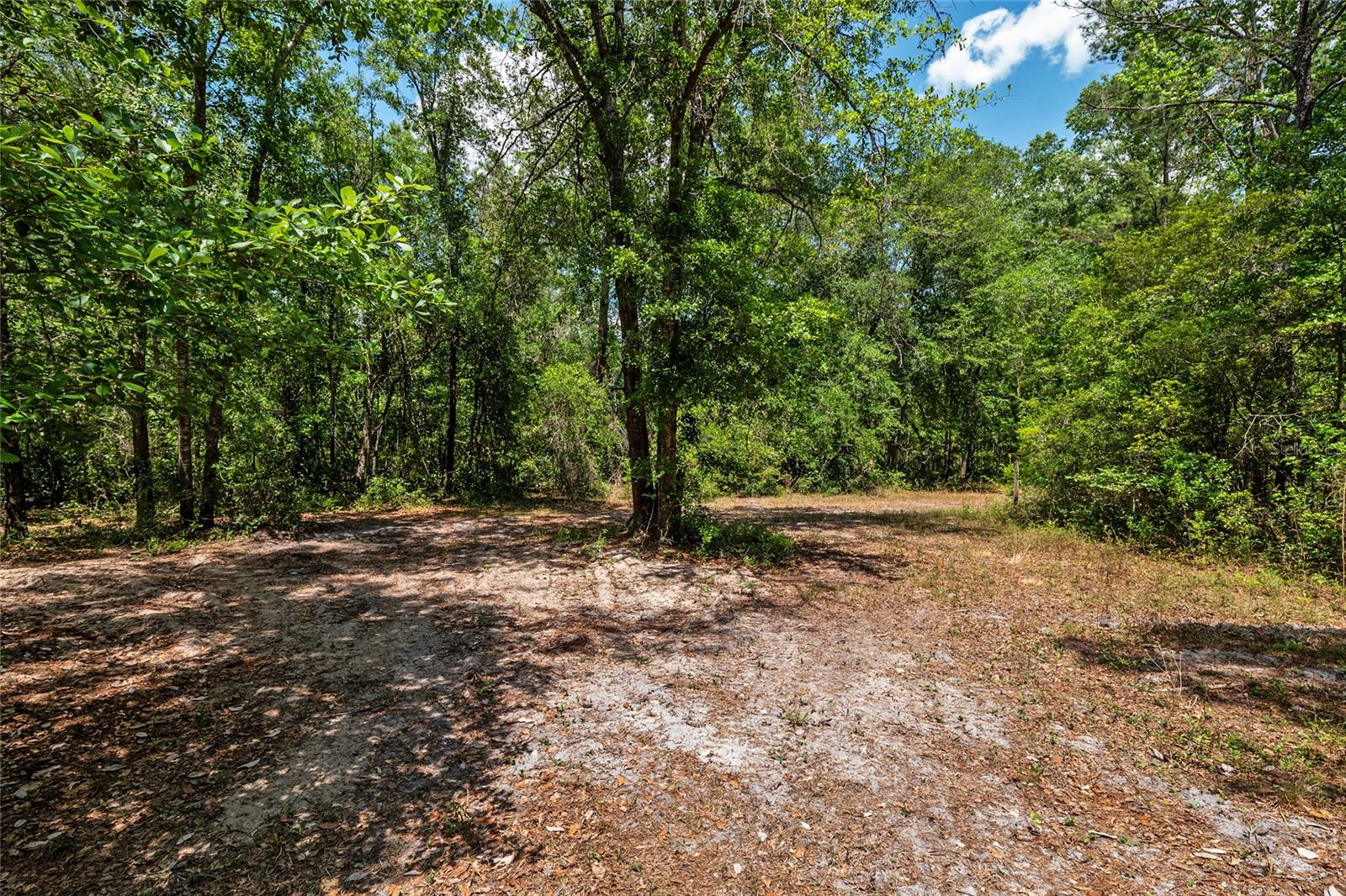 4814 NW 244 AVE, ALACHUA, FL, 32615