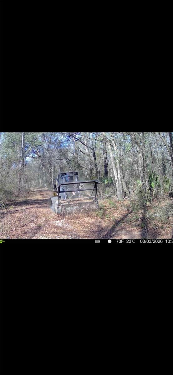 4814 NW 244 AVE, ALACHUA, FL, 32615