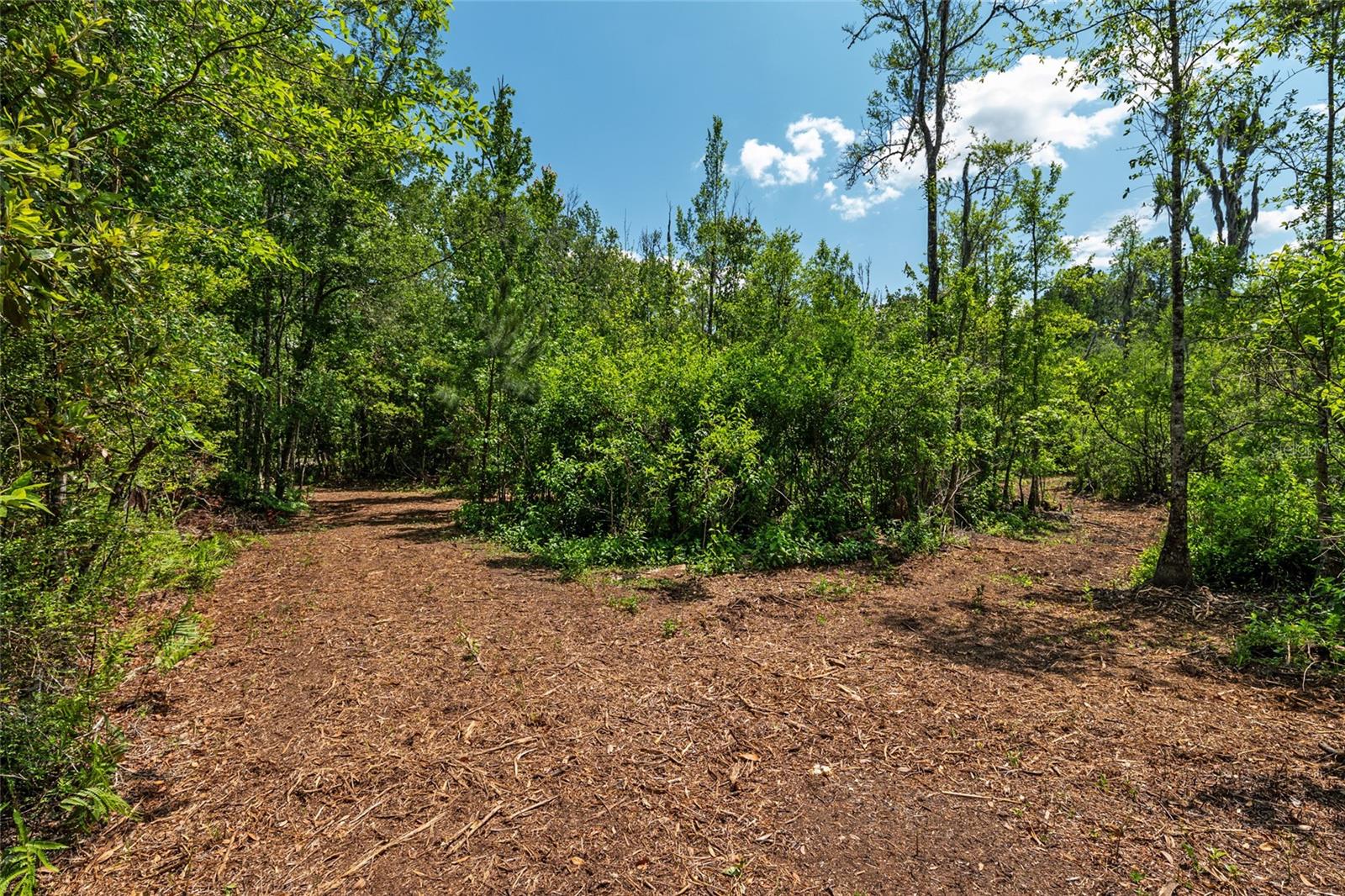 4814 NW 244 AVE, ALACHUA, FL, 32615