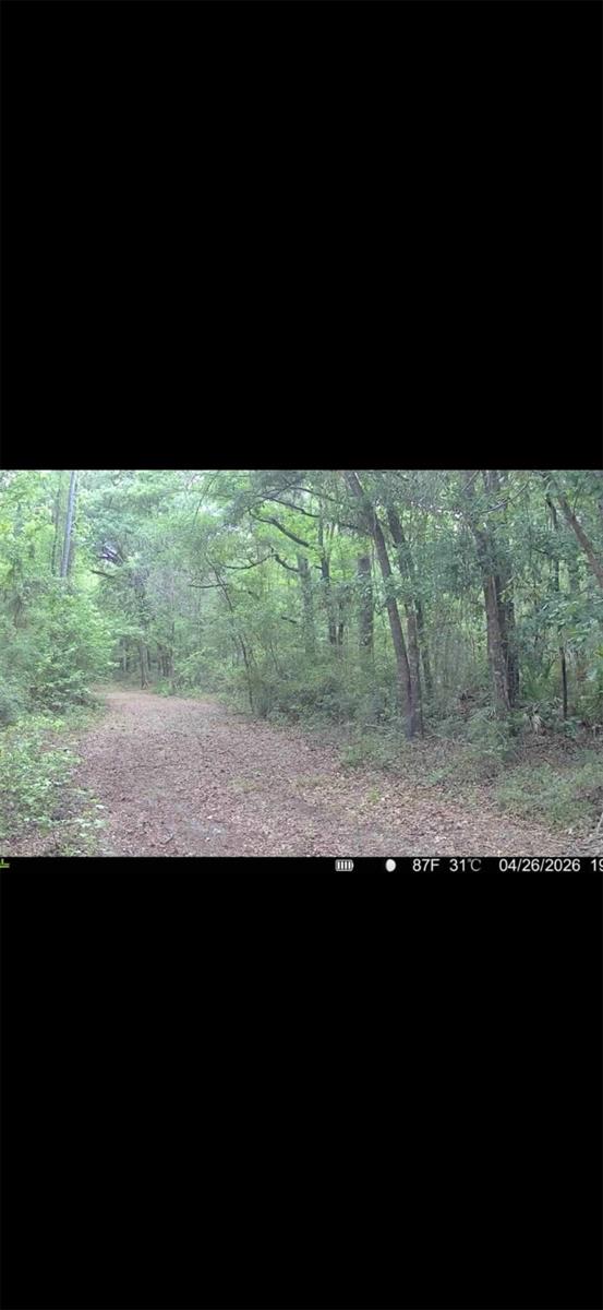 4814 NW 244 AVE, ALACHUA, FL, 32615