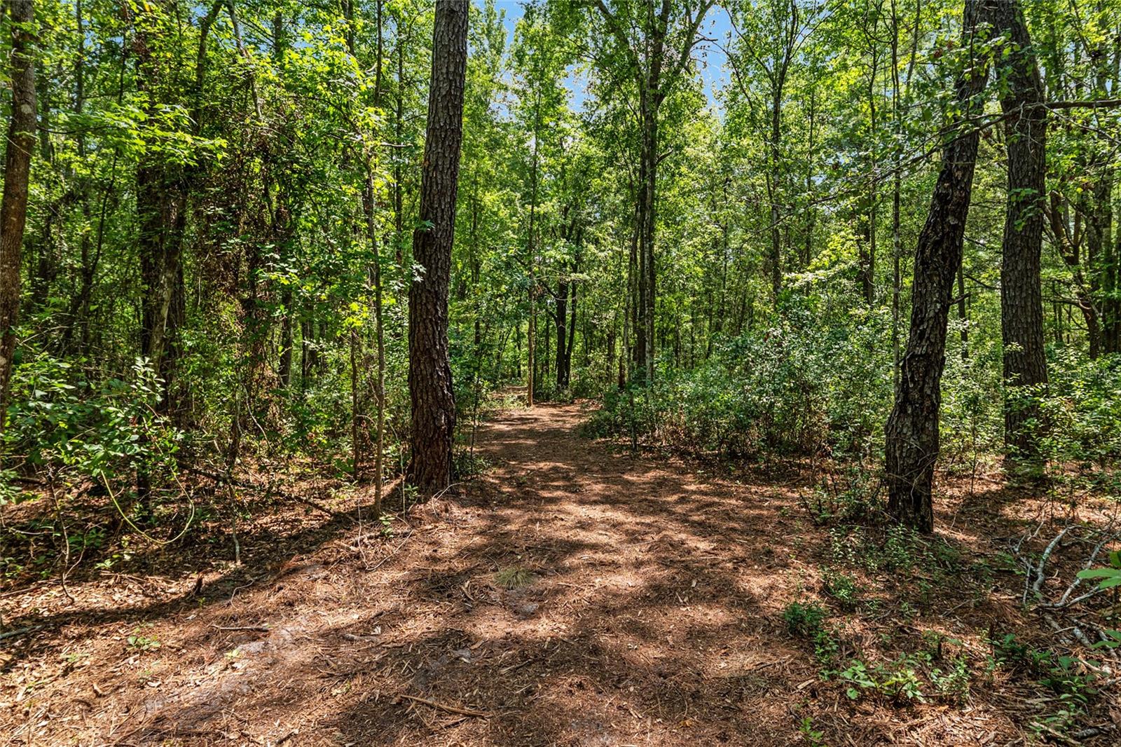 4814 NW 244 AVE, ALACHUA, FL, 32615