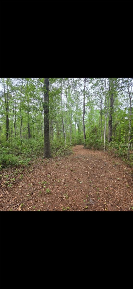 4814 NW 244 AVE, ALACHUA, FL, 32615