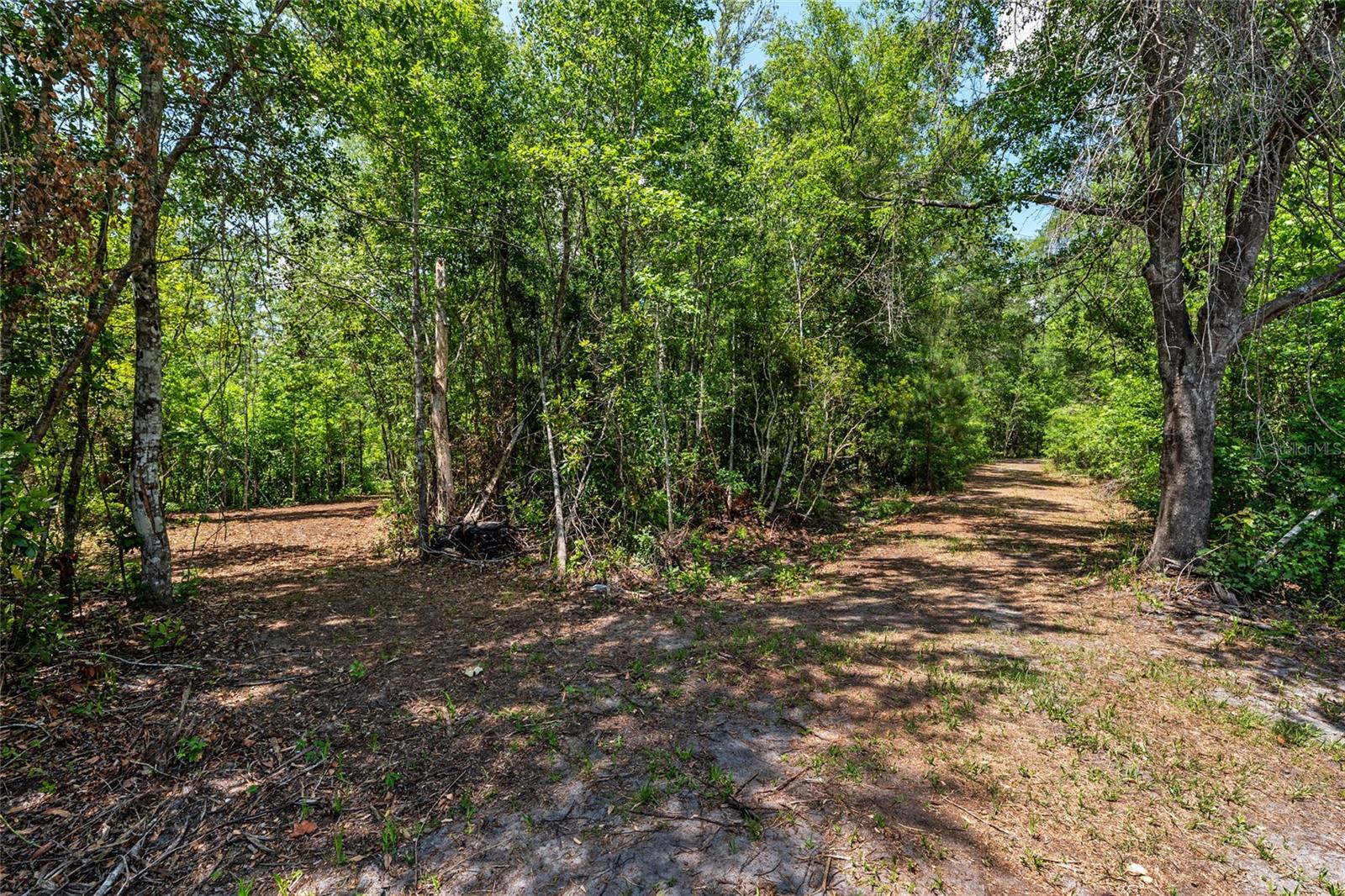 4814 NW 244 AVE, ALACHUA, FL, 32615