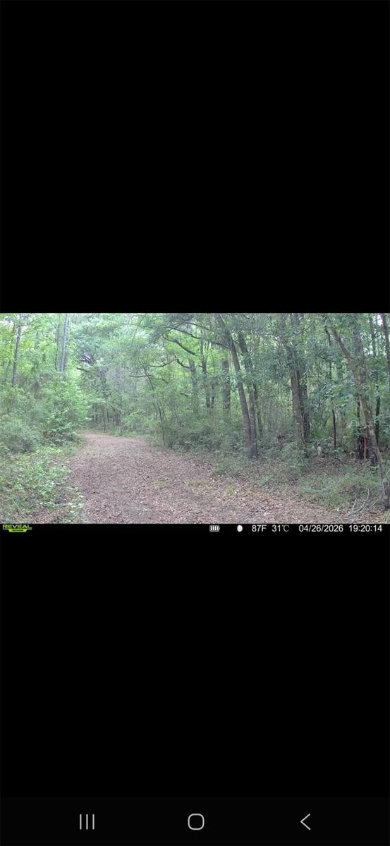 4814 NW 244 AVE, ALACHUA, FL, 32615