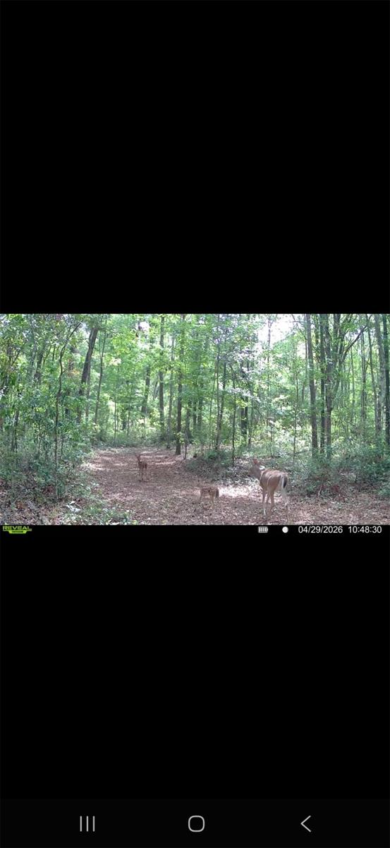 4814 NW 244 AVE, ALACHUA, FL, 32615