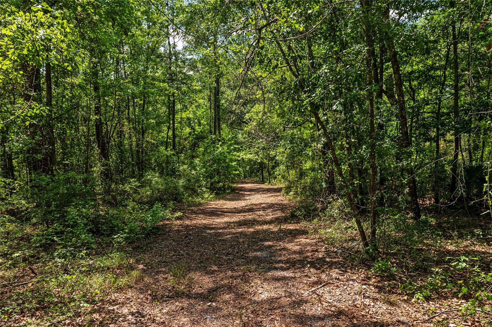 4814 NW 244 AVE, ALACHUA, FL, 32615