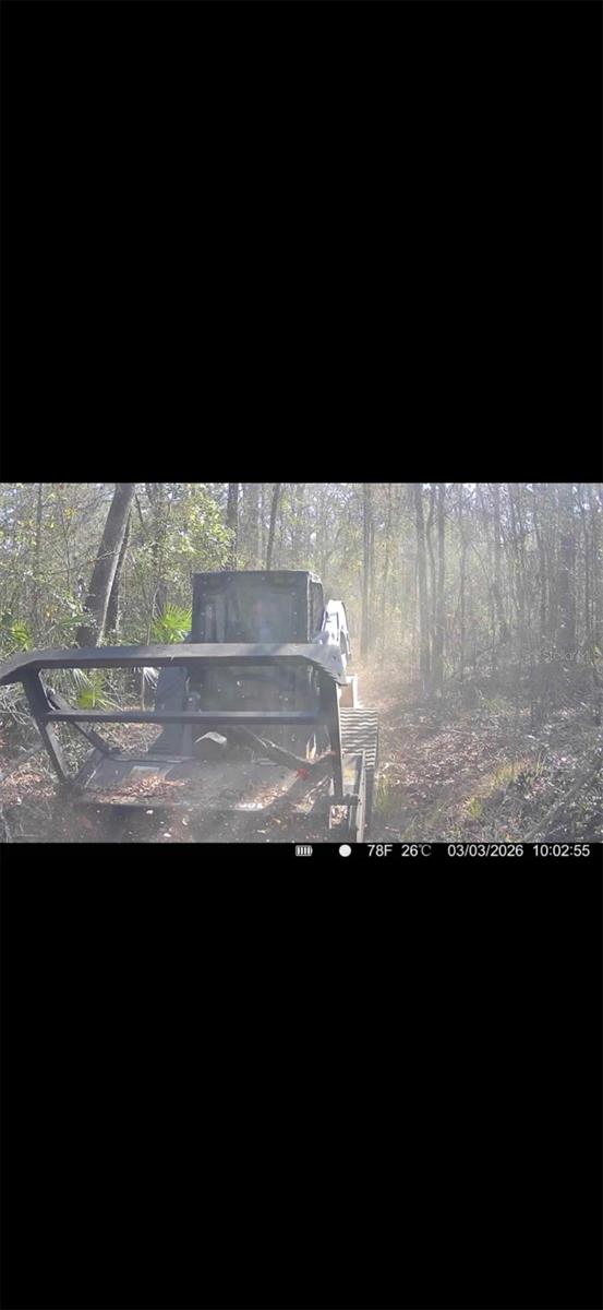 4814 NW 244 AVE, ALACHUA, FL, 32615