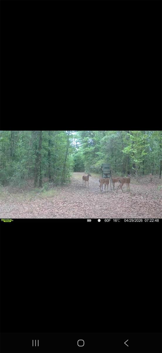 4814 NW 244 AVE, ALACHUA, FL, 32615