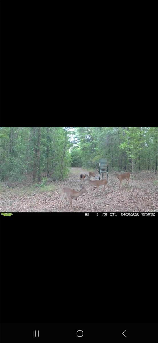 4814 NW 244 AVE, ALACHUA, FL, 32615