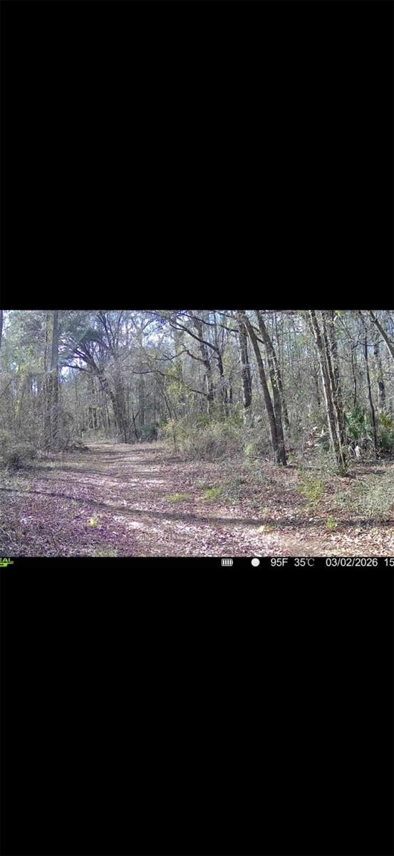 4814 NW 244 AVE, ALACHUA, FL, 32615