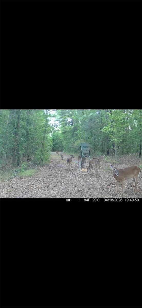 4814 NW 244 AVE, ALACHUA, FL, 32615