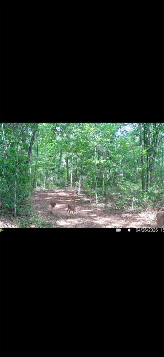 4814 NW 244 AVE, ALACHUA, FL, 32615