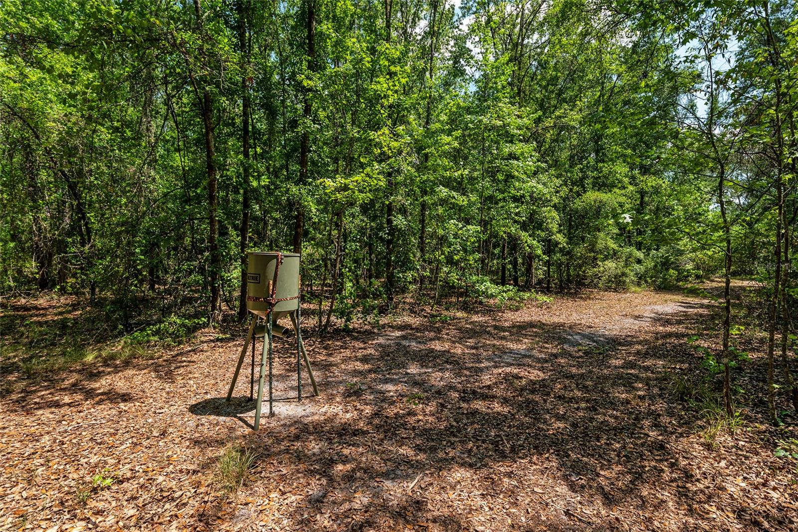 4814 NW 244 AVE, ALACHUA, FL, 32615